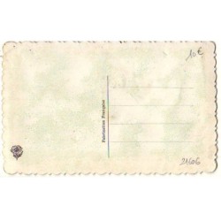 n°21606 - Carte Brodée - Saint-Nicolas - Pensées et Myosotis