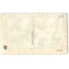 n°21606 - Carte Brodée - Saint-Nicolas - Pensées et Myosotis