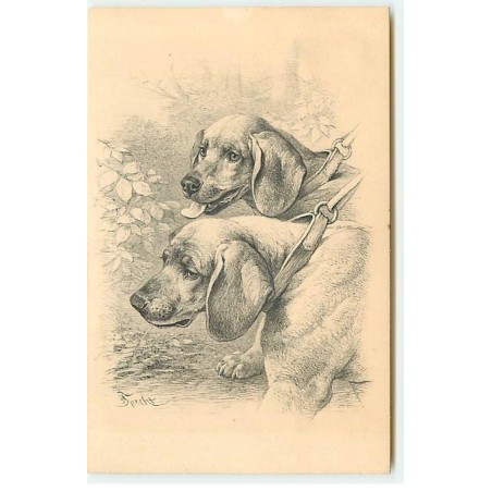 n°21643 - MM Vienne n°294 - Deux chiens en laisse