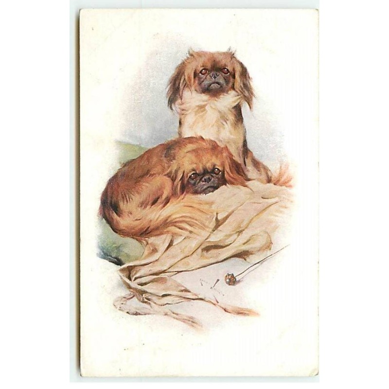 n°21644 - MM Vienne n°883 - Deux chiens sur un coussin près d'une épingle à chapeau