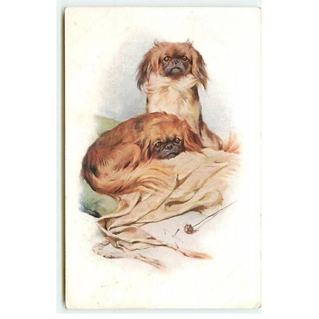n°21644 - MM Vienne n°883 - Deux chiens sur un coussin près d'une épingle à chapeau