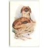 n°21644 - MM Vienne n°883 - Deux chiens sur un coussin près d'une épingle à chapeau