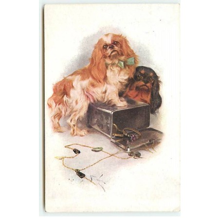 n°21645 - MM Vienne n°883 - Deux chiens près d'une boite à bijoux