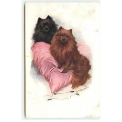 n°21646 - Animal - MM...