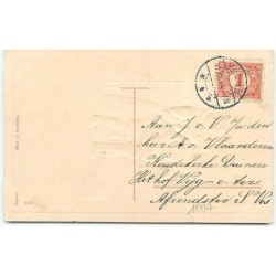 n°11337 - Carte Fantaisie Gaufrée - Gelukkig Nieuwjaar - Enfants et Cochons