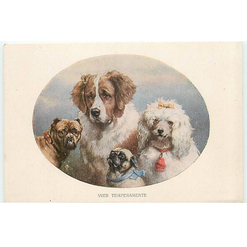 n°21741 - MM Vienne n°1194 - Vier Temperamente - Chiens, dont un bouledogue, un caniche ...