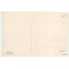 n°21741 - MM Vienne n°1194 - Vier Temperamente - Chiens, dont un bouledogue, un caniche ...