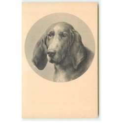 n°21745 - MM Vienne n°192 -...