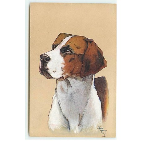 n°21757 - MM Vienne n°904 - Portrait d'un chien de chasse - Setter Anglais