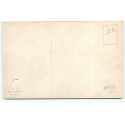 n°21757 - MM Vienne n°904 - Portrait d'un chien de chasse - Setter Anglais