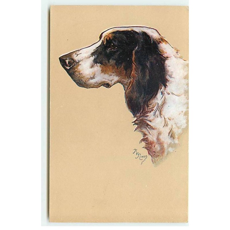 n°21758 - MM Vienne n°904 - Portrait d'un chien de chasse