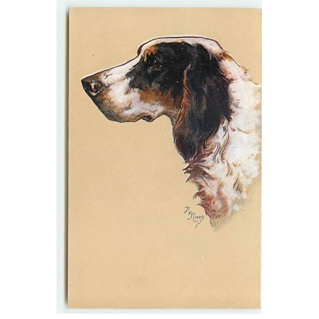 n°21758 - MM Vienne n°904 - Portrait d'un chien de chasse