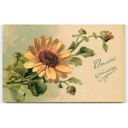 n°11359 - Carte...