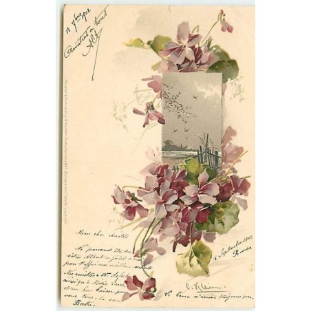 n°11362 - Carte Illustrateur - Catharina Klein - Fleurs viollettes et Paysage - Meissner serie 1095
