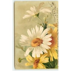 n°11366 - Carte...