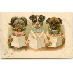 n°21847 - Chien - Gruss aus...