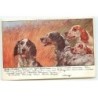 n°21849 - MM Vienne n°375 - Chiens de chasse dans un pré - Epagneuls