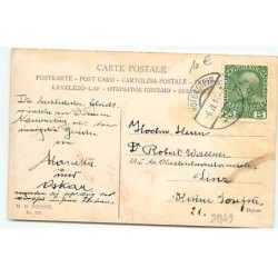 n°21849 - MM Vienne n°375 - Chiens de chasse dans un pré - Epagneuls