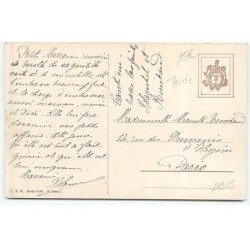 n°21905 - Arthur Thiele - Chats habillés faisant un chateau de sable dans un parc