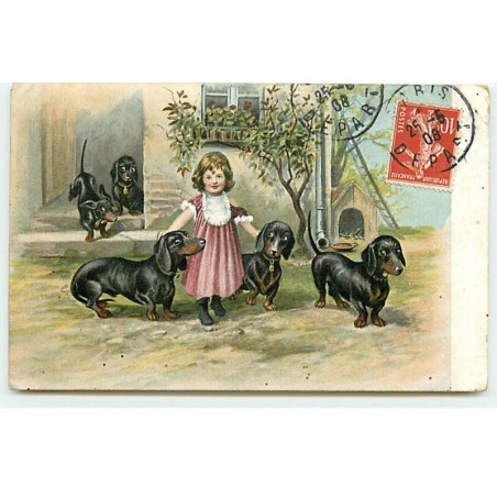 n°21948 - Chien - Fillettte au milieu de teckels - Dackel