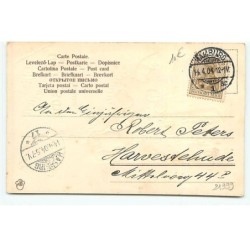 n°21999 - Carte Gaufrée - Fillette vidant une corne d'abondance, portes-bonheur - cochon