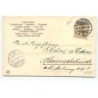 n°21999 - Carte Gaufrée - Fillette vidant une corne d'abondance, portes-bonheur - cochon