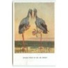 n°22018 - MM Vienne n°1241 - Deux cigognes portant chacune un bébé