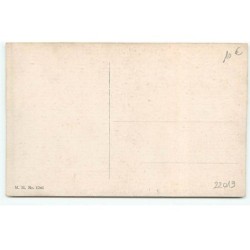 n°22019 - MM Vienne n°1245 - Oiseaux, trois échassiers l'un portant des chaussures