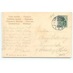 n°22063 - Glücks Käfer - HB - Jeune femme tenant une branche avec des coccinelles dessus