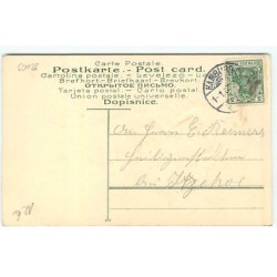 n°22069 - Carte Gaufrée - Prosit Neujahr - Couple s'embrassant, près d'un cochon