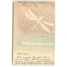 n°22123 - Carte Gaufrée - MM Vienne - Une libellule volant au-dessus de l'eau