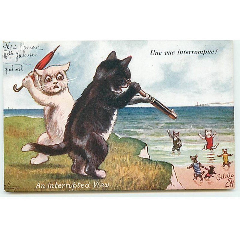 n°22158 - Ellam - Une vue interronmpue ! - Chats en haut d'une falaise, l'un regardant avec une longue vue  - Chat - Cat