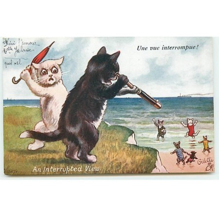 n°22158 - Ellam - Une vue interronmpue ! - Chats en haut d'une falaise, l'un regardant avec une longue vue  - Chat - Cat