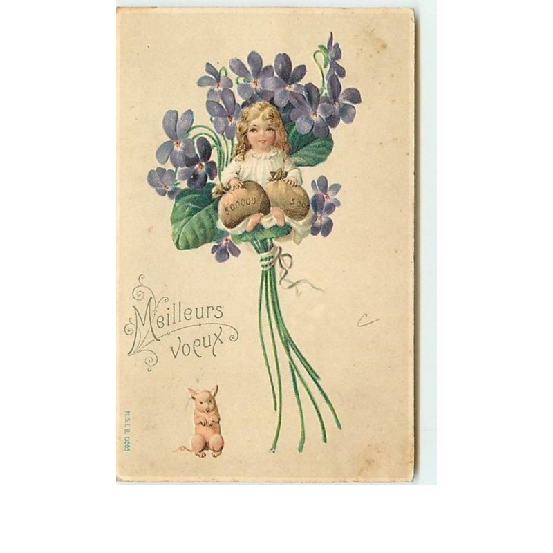 n°11445 - Carte Fantaisie Gaufrée - Meilleurs Voeux - Fillette avec des sacs de Pièces - Cochon