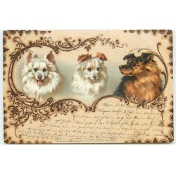 n°22470 - Carte imitation...