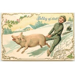 n°22528 - Bonne Année...
