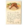 n°11499 - Jeune femme de profil près d'un cheval