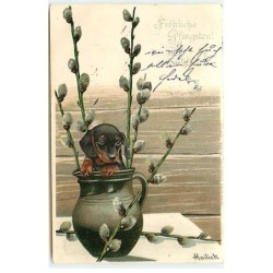 n°22626 - Mailick -...