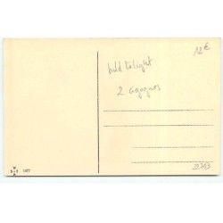n°22703 - Carte à Système - Hold to Light - Prosit Neujahr ! - Deux Cigognes