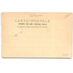 n°22713 - Art Nouveau - Canard
