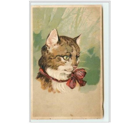 n°2275 - Carte Gaufrée - Portrait d'un chat avec un ruban rouge