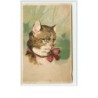 n°2275 - Carte Gaufrée - Portrait d'un chat avec un ruban rouge