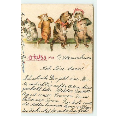 n°22764 - Fantaisie - Gruss aus ... - Famille de chats habillés buvant du thé