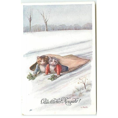 n°22767 - Fantaisie - C. Öhler - Glückliches Neujahr - Chats habillés allongés dans un sac de toile