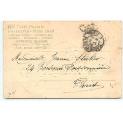n°22788 - Carte Gaufrée - Fantaisie - Souvenir d'Amitié - Cochons - Araignée