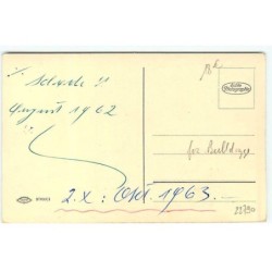 n°22790 - Animaux - Chiens - Verknurrt - Deux Bouledogues français