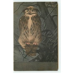 n°22792 - Animaux -...
