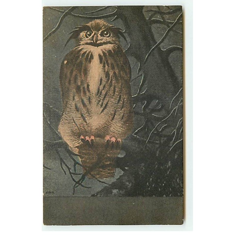 n°22792 - Animaux - Illustrateur russe - Hibou