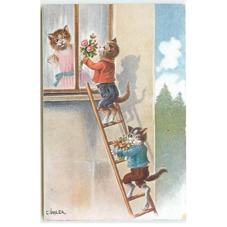 n°22816 - Illustrateur - C. Ohler - Chats montant à une échelle pour offrir des fleurs à une chatte
