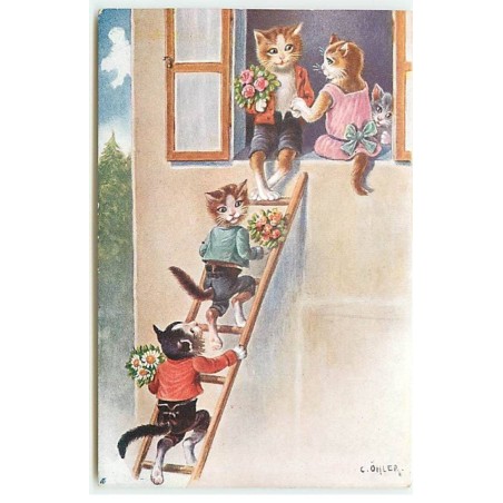 n°22818 - Illustrateur - C. Ohler - Chats sur une échelle pour offrir des fleurs à une chatte